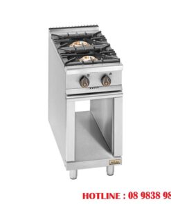 BẾP ÂU 2 HỌNG ĐỐT DỌC