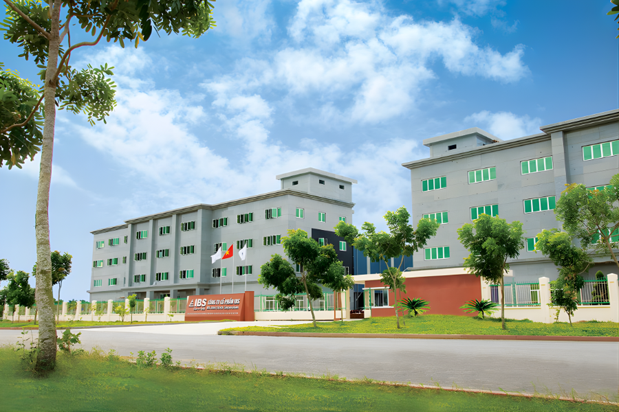 Tổng quan về công ty IBS