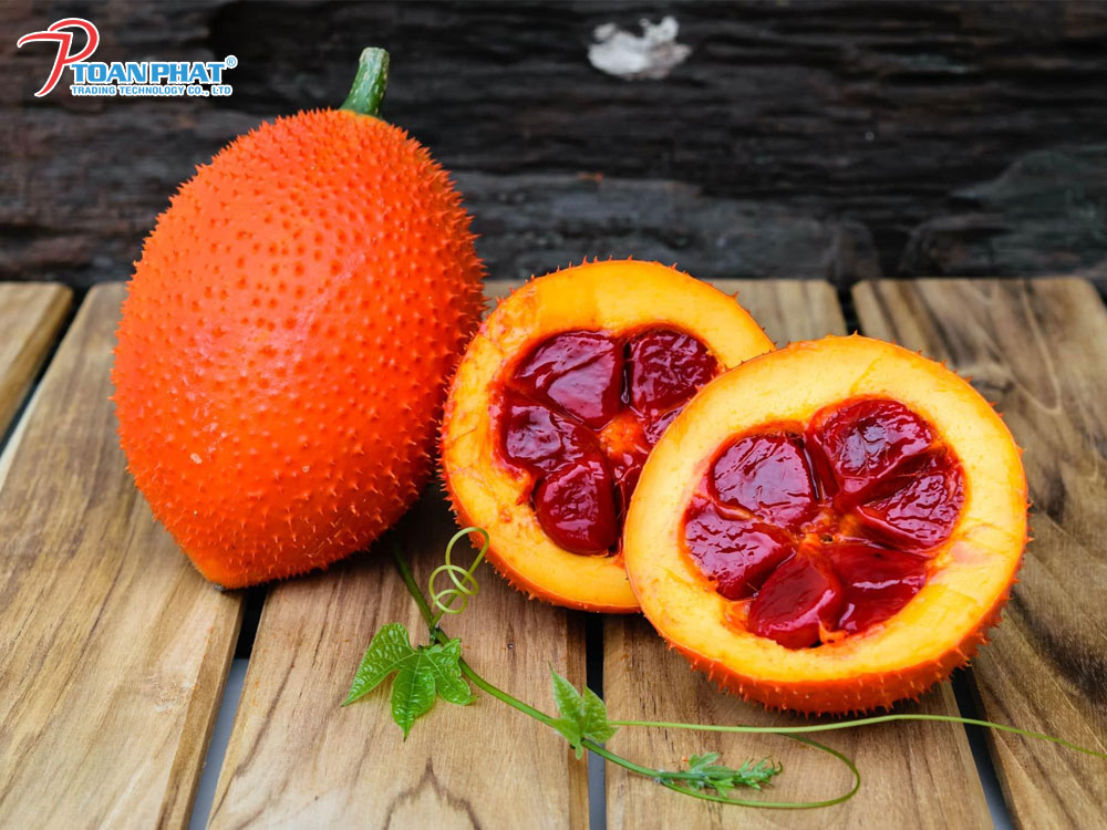 HƯỚNG DẪN LÀM DẦU GẤC NGUYÊN CHẤT ĐƠN GIẢN TẠI NHÀ 7 Hướng dẫn làm dầu gấc nguyên chất đơn giản tại nhà