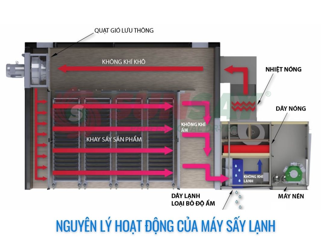 MÁY SẤY LẠNH THỰC PHẨM CHUYÊN DỤNG 100 LÍT 3 Nguyên lý Máy sấy lạnh 50L Toàn Phát sản xuất
