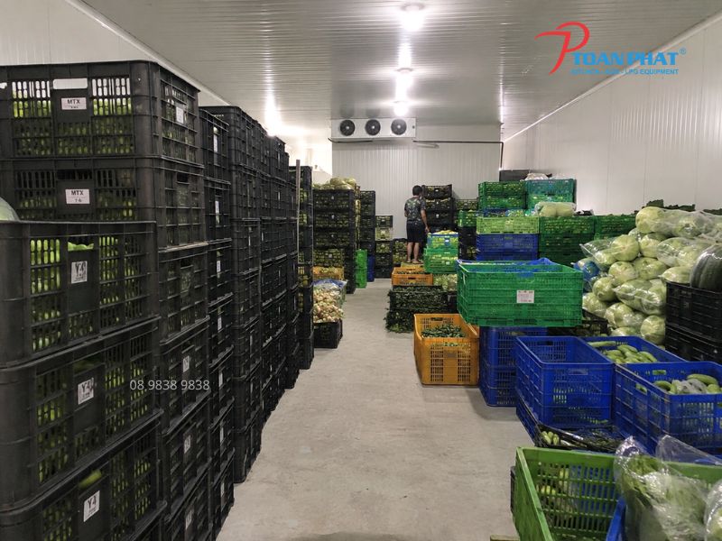 Kho lạnh bảo quản là gì? Cấu tạo, phân loại và ứng dụng thực tế 6 Kho lạnh bảo quản rau củ quả sau thu hoạch